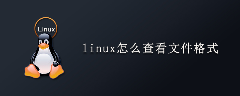linux怎么查看文件格式