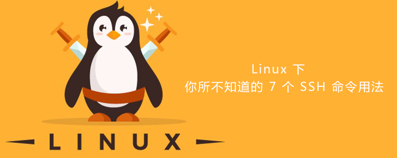 Linux 下你所不知道的 7 个 SSH 命令用法