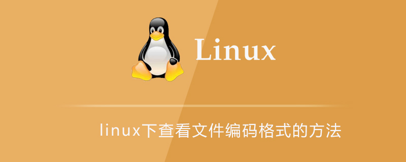 linux下查看文件编码格式的方法