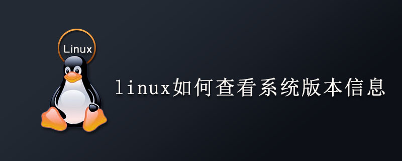 linux如何查看系统版本信息