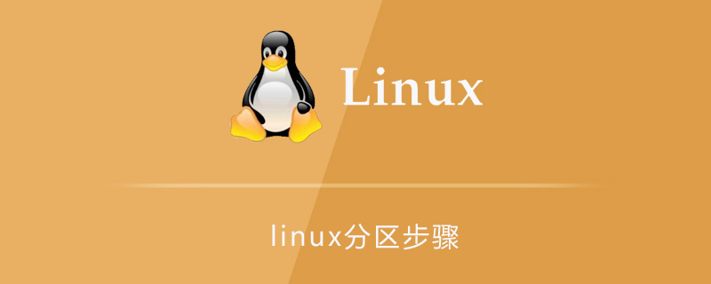 linux分区步骤