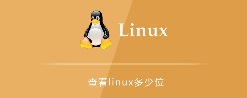 查看linux多少位