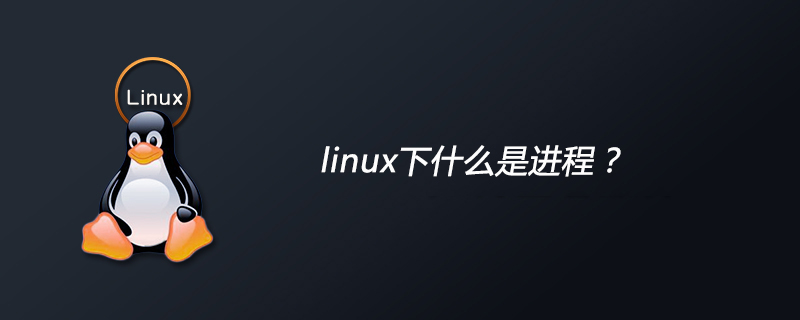 linux下什么是进程