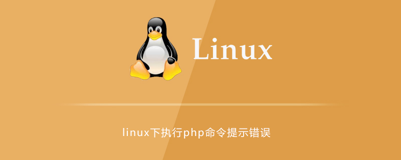 linux下执行php命令提示错误