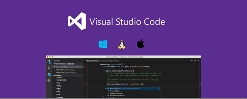 vscode支持xp版本吗