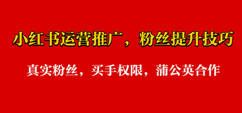 小红书涨粉实战策略：从0到1000粉的涨粉操作技巧