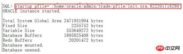 Oracle启动时出现ORA-32004报错的解决方法