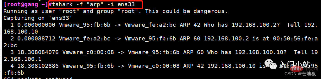 Linux 网络抓包分析工具
