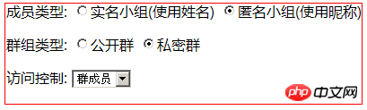 CSS自定义radio样式以及JS获取radio值的方法总结