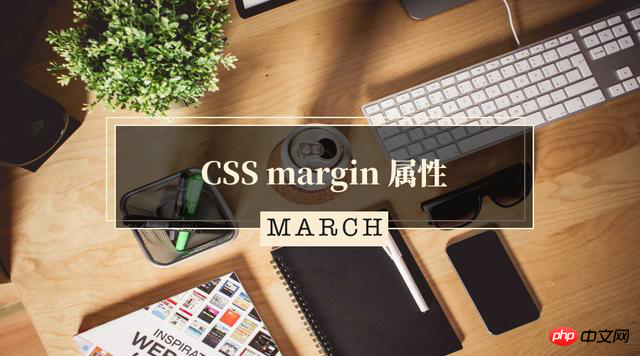 CSS入门教程之margin属性