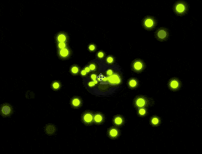 如何使用CSS和D3实现光斑粒子交相辉映的效果 （附源码）