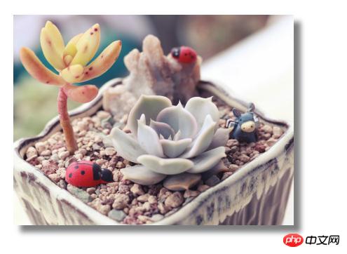 css怎么给图片添加阴影效果？图片添加阴影的两种方法（代码实例）