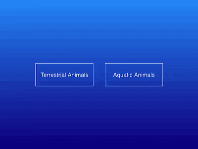 如何使用纯CSS实现打开内容弹窗的交互动画（附源码）