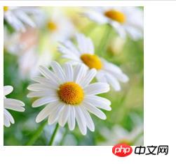 如何使用纯css实现圆形图像？（代码实例）