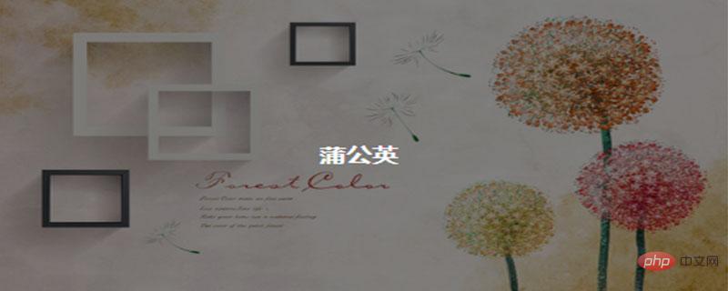如何使用CSS实现背景图像透明