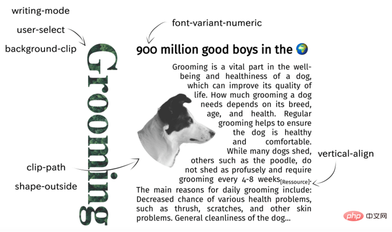 8.png