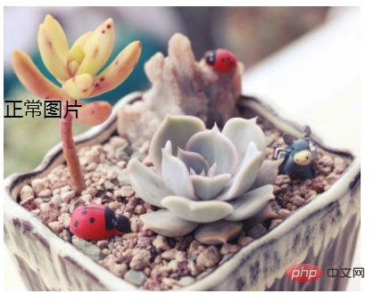 css怎么实现不透明度渐变