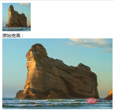 1639045468274922.png 20.png