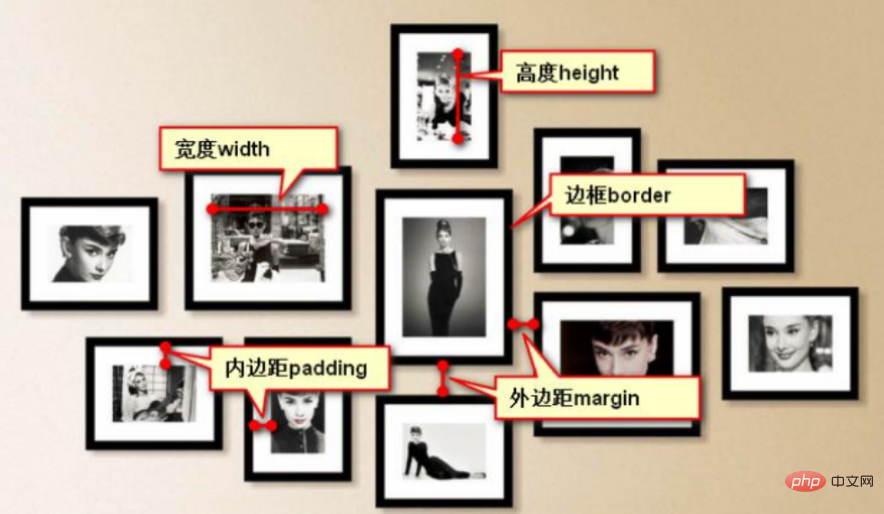 css3框模型有几种属性
