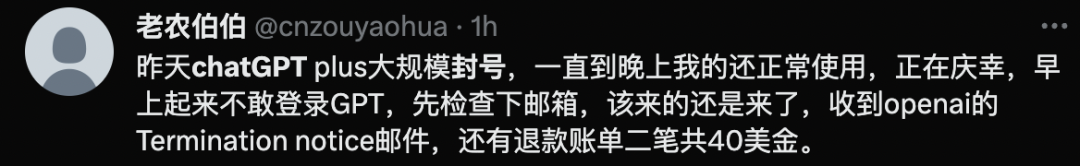 灾难日！ChatGPT又双叒大面积封号了...