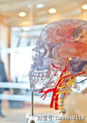 脑机接口站上风口，炒概念？还是真的有料？