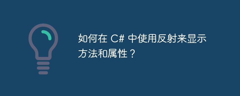 如何在 C# 中使用反射来显示方法和属性？