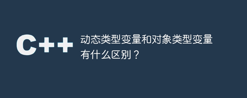 动态类型变量和对象类型变量有什么区别？