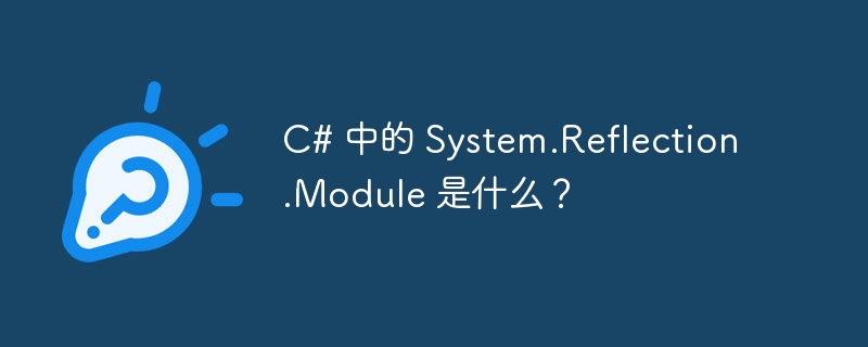 C# 中的 System.Reflection.Module 是什么？