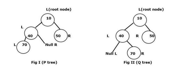 N元树中的同构性