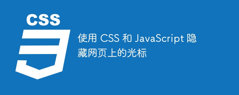 使用 CSS 和 JavaScript 隐藏网页上的光标