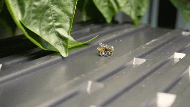 无需电池即可实现「自动驾驶」，华盛顿大学开发出无限续航的机器人