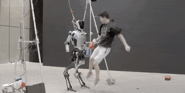 【直击引领区】站得稳、能小跑，还能进工厂“打工”……AI赋能人形机器人“具身智能”发展