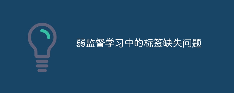 弱监督学习中的标签缺失问题