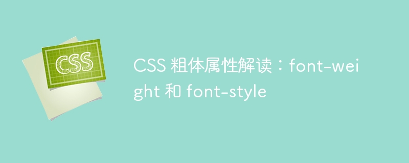 CSS 粗体属性解读：font-weight 和 font-style