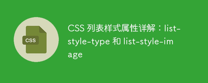 CSS 列表样式属性详解：list-style-type 和 list-style-image