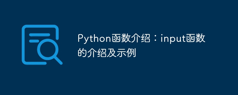python函数介绍：input函数的介绍及示例