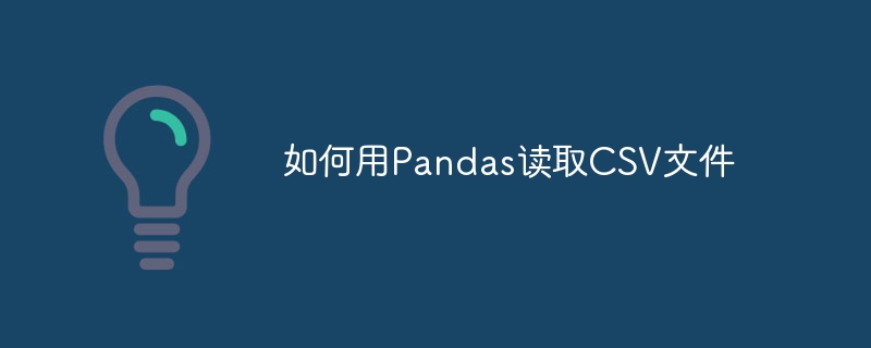 如何用pandas读取csv文件
