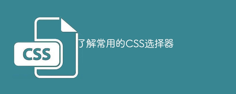 学习常见的CSS选择器