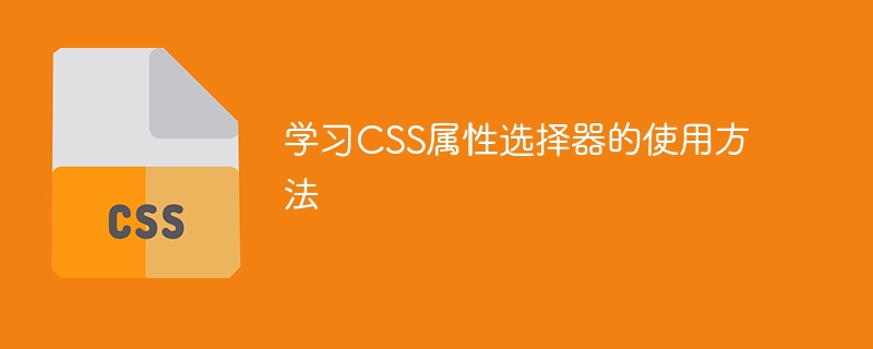 掌握CSS属性选择器的应用技巧