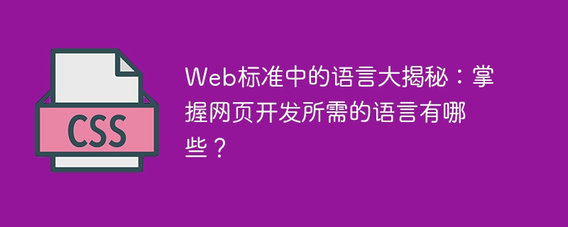 揭开Web开发的语言之谜：了解构建网页所需的语言有哪些？