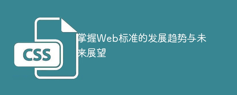 对Web标准的发展趋势和未来展望有深入了解