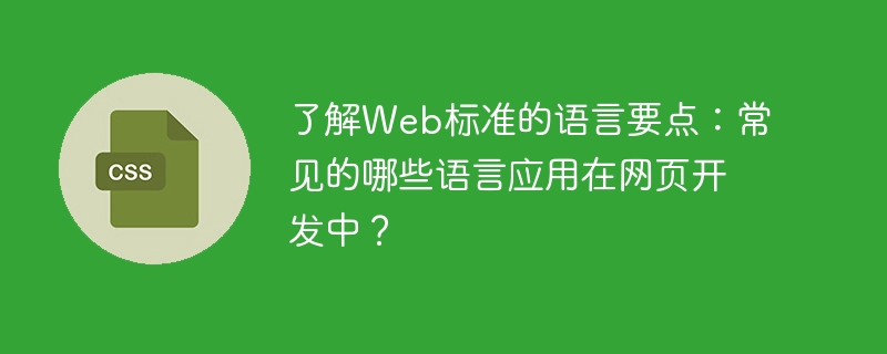常用的网页开发语言：了解Web标准的要点