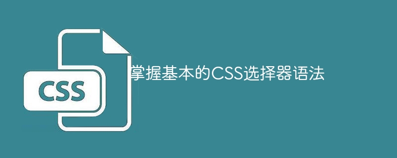 学会使用CSS选择器的基本语法