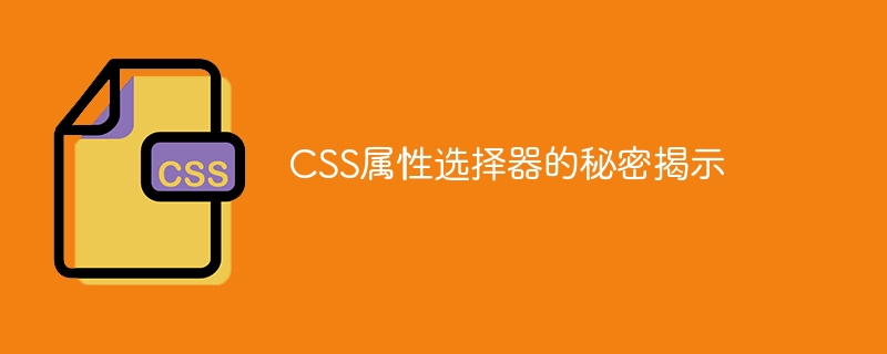 揭开CSS属性选择器的神秘面纱