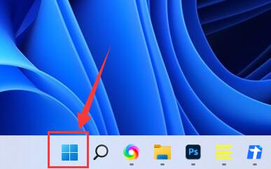 如何在Windows 11中设置麦克风权限
