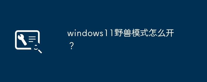 如何启用Windows 11的野兽模式？
