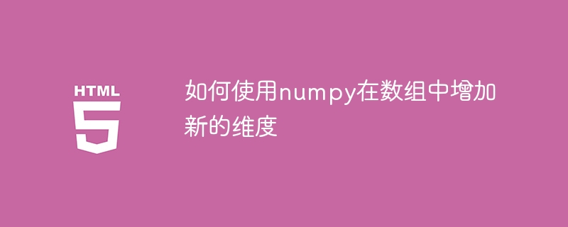 展示如何使用numpy在数组中添加新维度