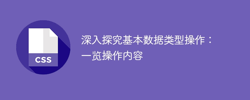 深入研究基本数据类型的操作：操作细节总览