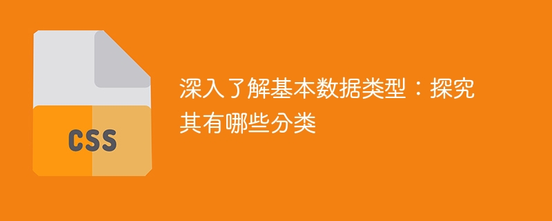 深入了解基本数据类型的分类及特点