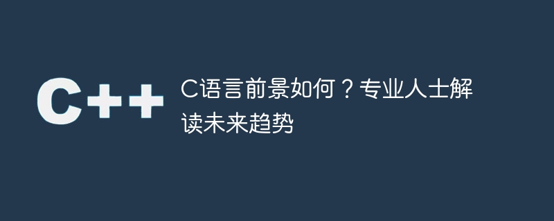 C语言的前景如何？行业专家展望未来发展